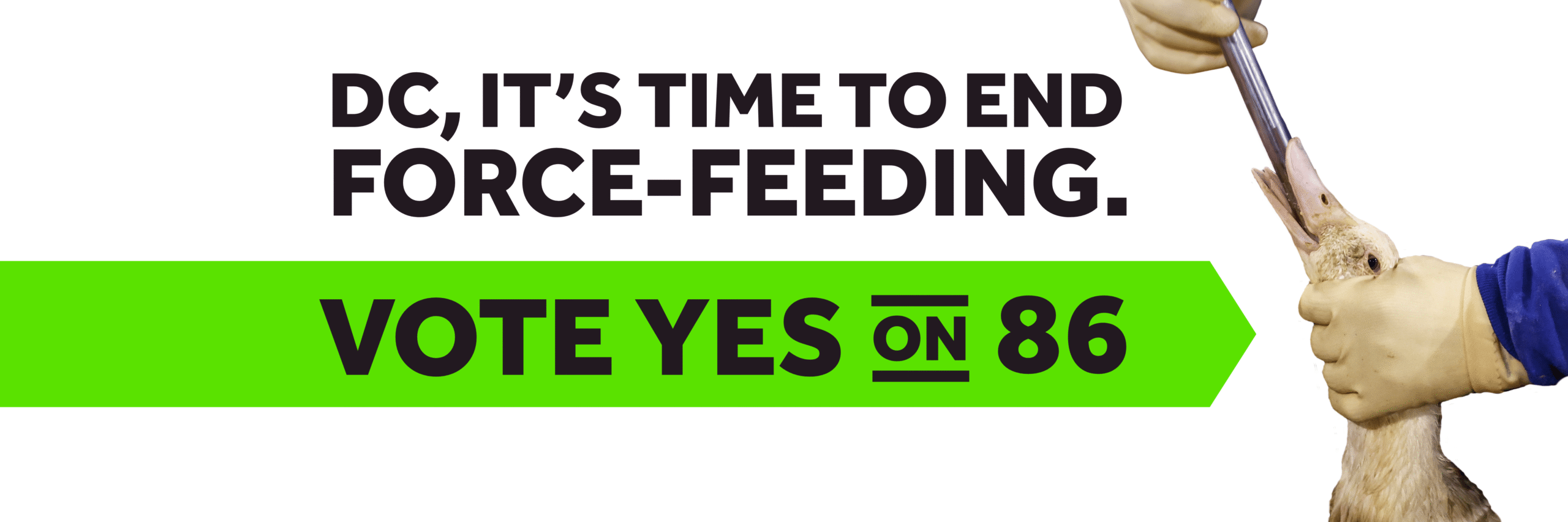 DC, it’s time to end force-feeding. Vote yes on 86.